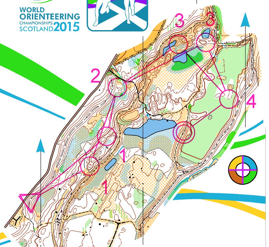 Relay training I (14.07.2015)