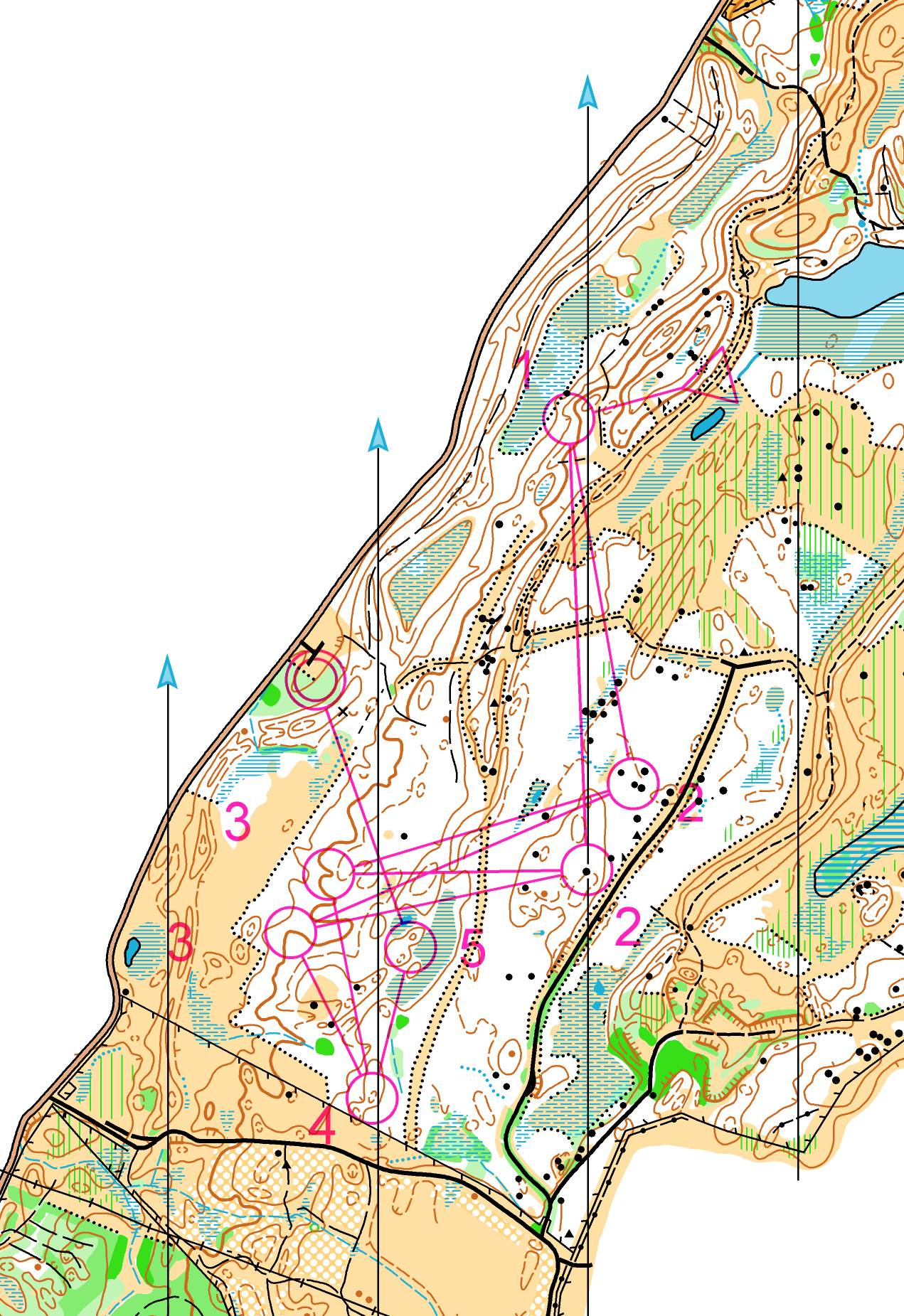 Relay training III (14.07.2015)
