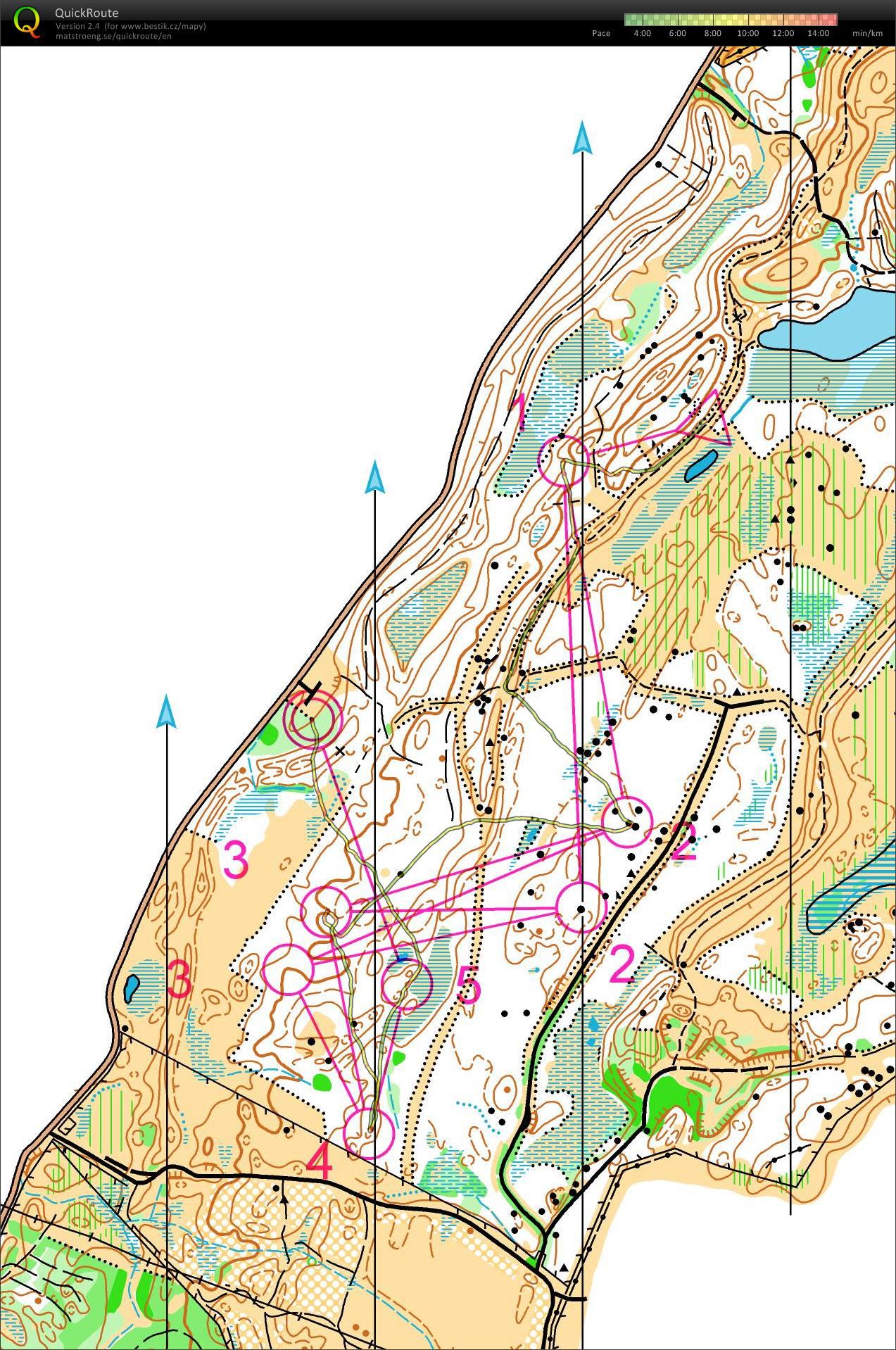 Relay training III (14.07.2015)