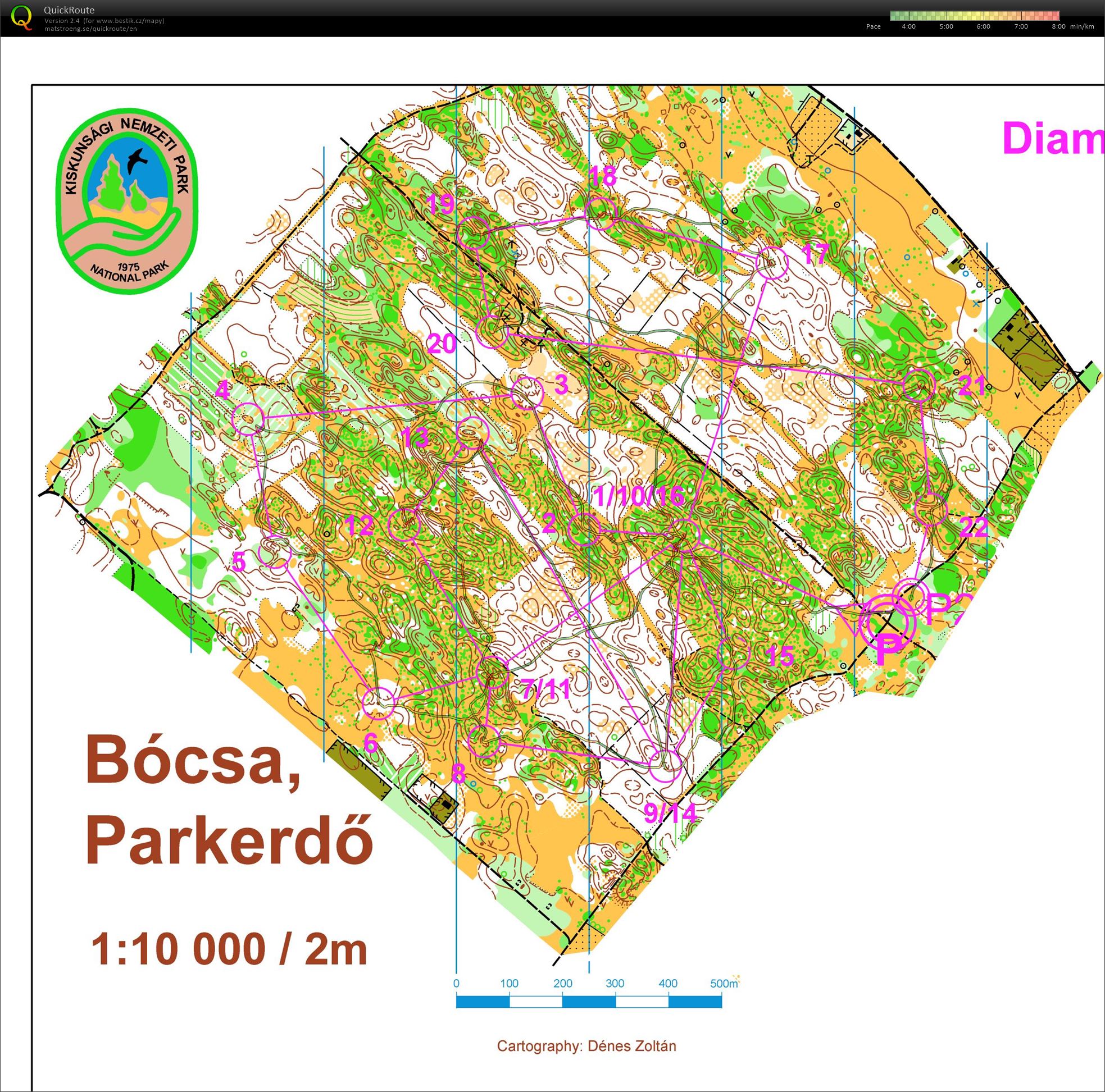 Diamond Bócsa (24.02.2017)