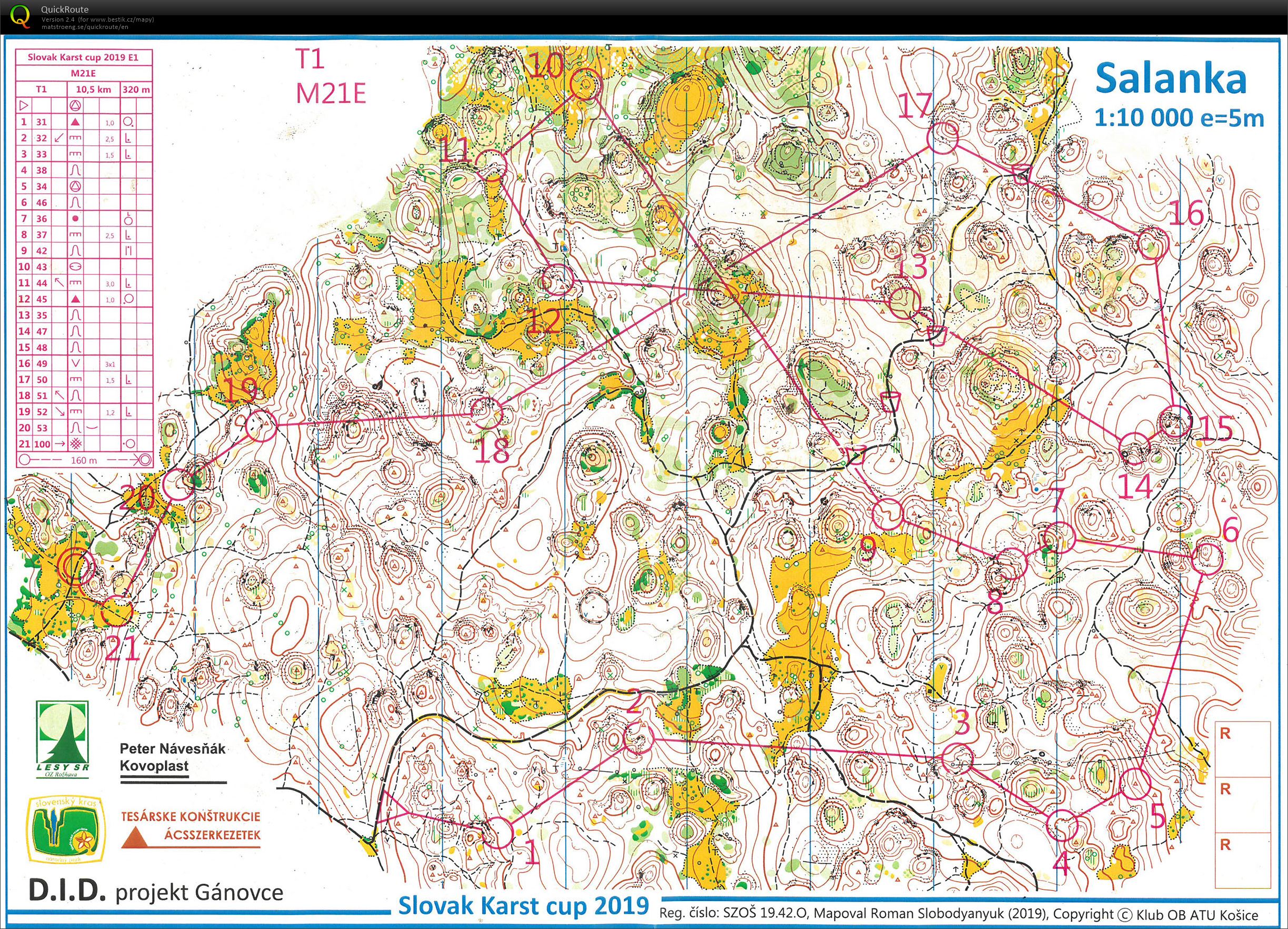 Karst Cup E1 - long (M21E) (09.08.2019)