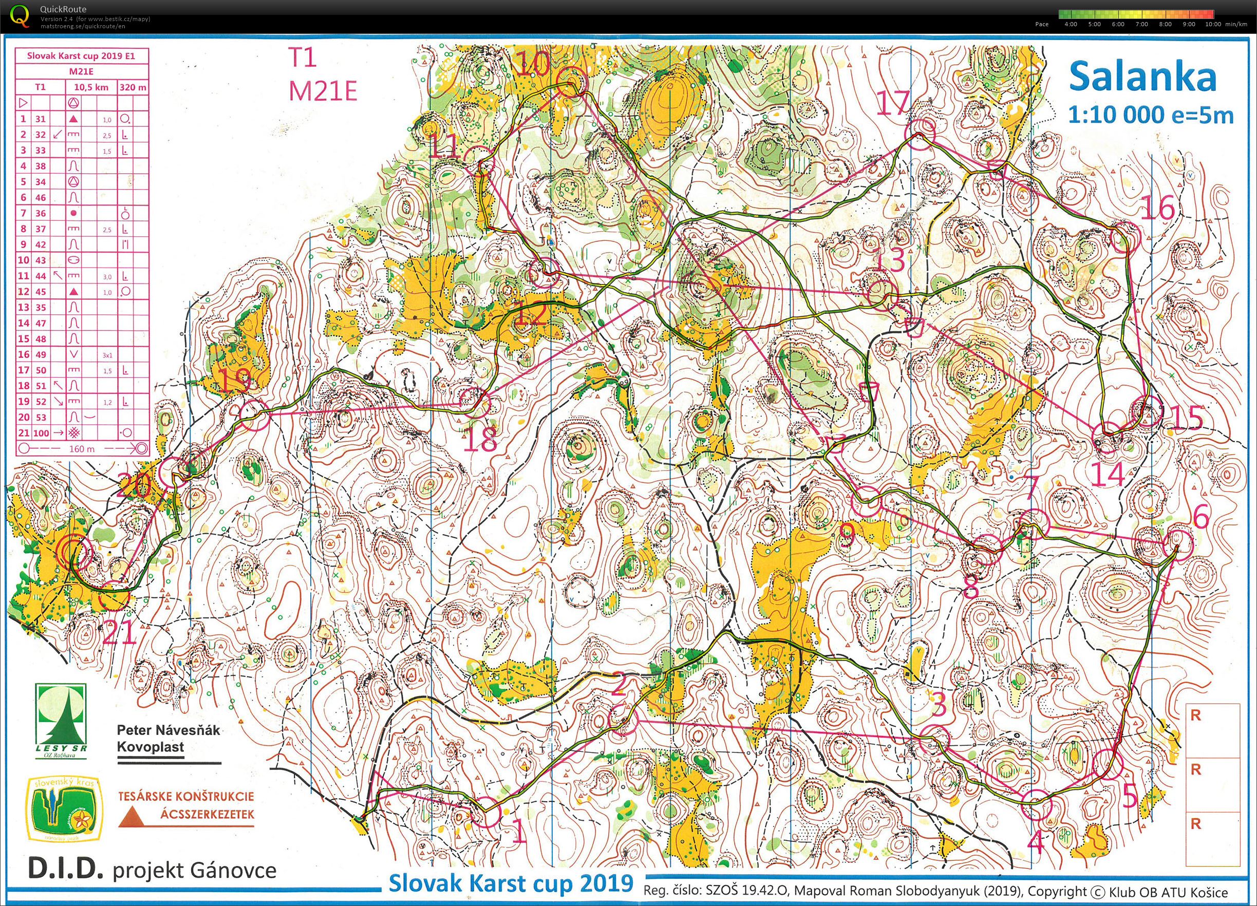 Karst Cup E1 - long (M21E) (09.08.2019)