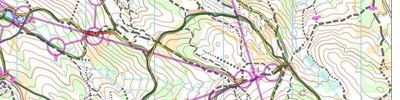ČP MTBO Kokonín - M40A - middle