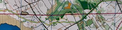 Medenice - long