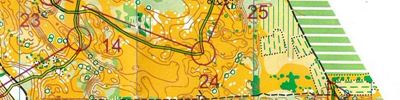 Juniper Open E1