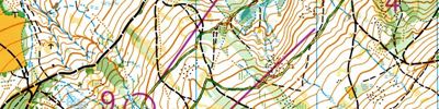MSR middle
