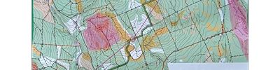 ČP MTBO 4.kolo long, 2mapa